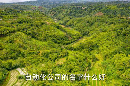 自动化公司的名字什么好
