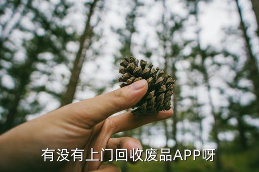 有没有上门回收废品APP呀