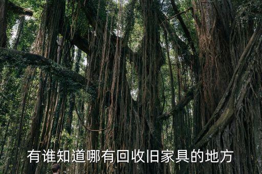 有谁知道哪有回收旧家具的地方