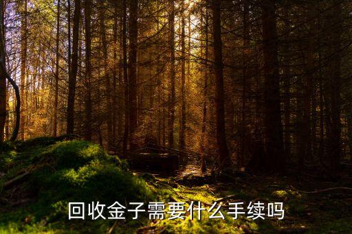 回收金子需要什么手续吗