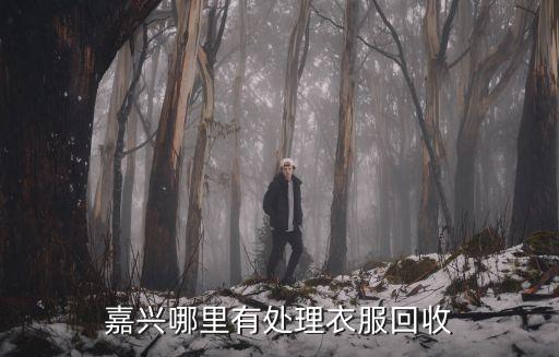 嘉兴哪里有处理衣服回收