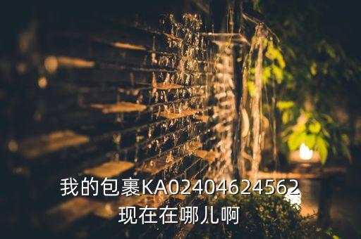 我的包裹KA02404624562现在在哪儿啊
