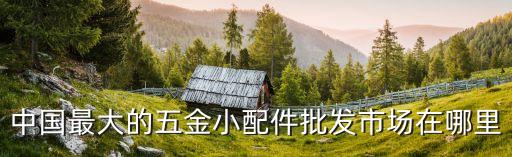 中国最大的五金小配件批发市场在哪里