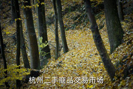 杭州二手商品交易市场