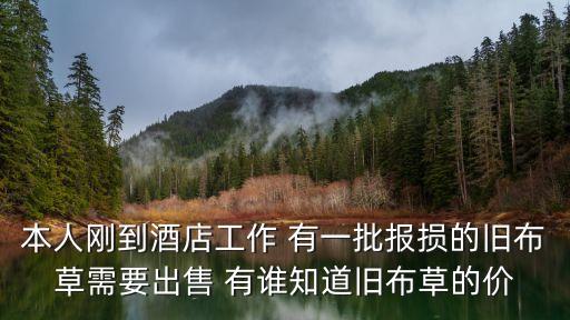 本人刚到酒店工作 有一批报损的旧布草需要出售 有谁知道旧布草的价