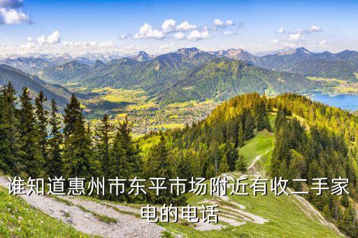 谁知道惠州市东平市场附近有收二手家电的电话