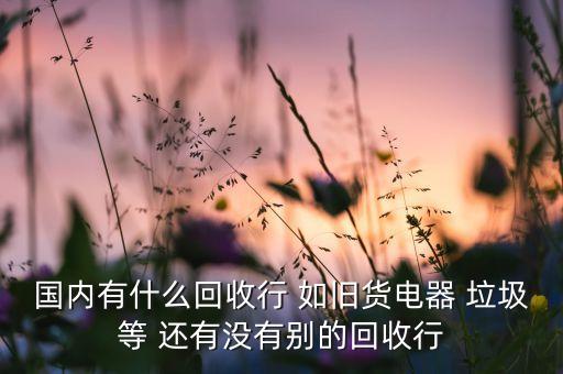 国内有什么回收行 如旧货电器 垃圾等 还有没有别的回收行
