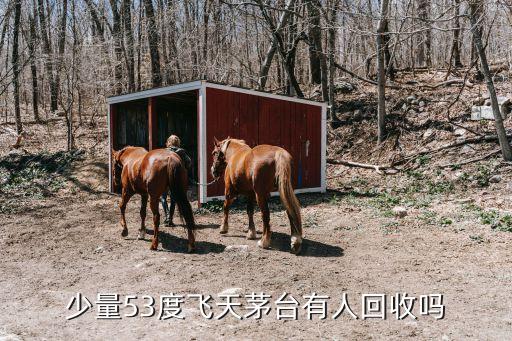 少量53度飞天茅台有人回收吗