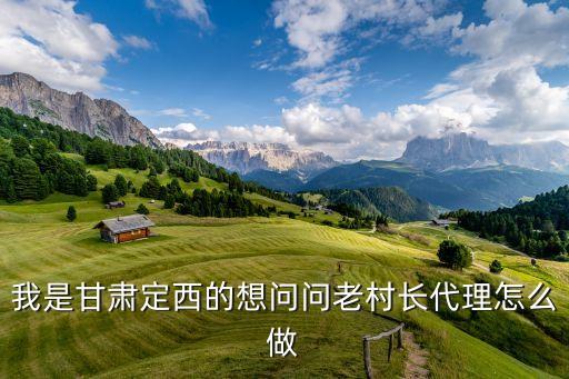 我是甘肃定西的想问问老村长代理怎么做