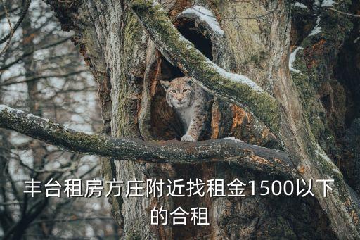 丰台租房方庄附近找租金1500以下的合租