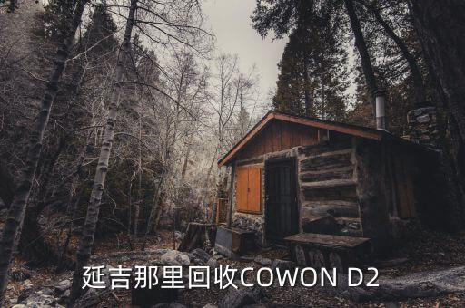 延吉那里回收COWON D2