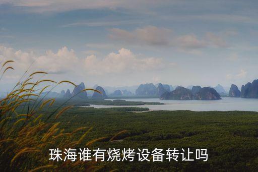 珠海谁有烧烤设备转让吗