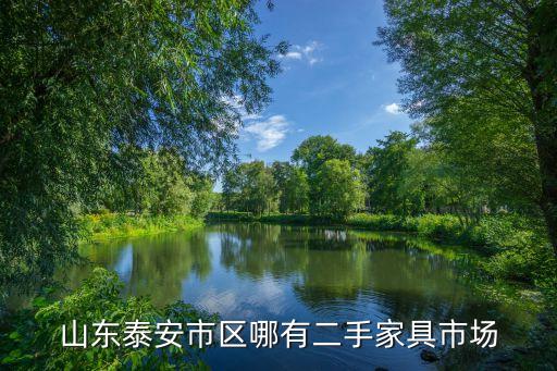 山东泰安市区哪有二手家具市场