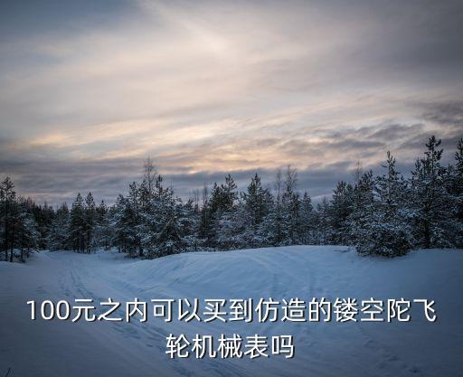100元之内可以买到仿造的镂空陀飞轮机械表吗