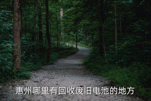 惠州哪里有回收废旧电池的地方
