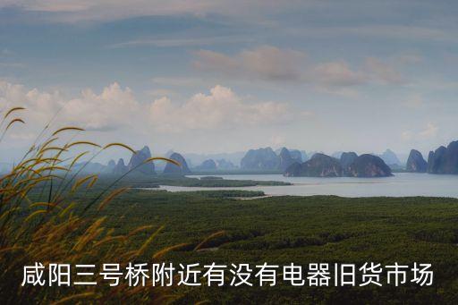咸阳三号桥附近有没有电器旧货市场