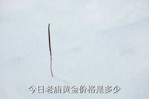 今日老庙黄金价格是多少