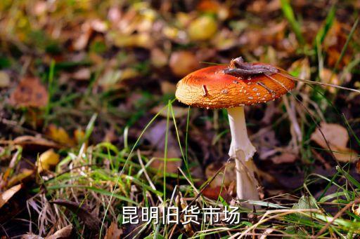 昆明旧货市场
