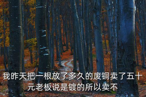 我昨天把一根放了多久的废铜卖了五十元老板说是镀的所以卖不