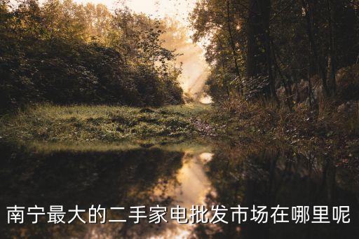南宁最大的二手家电批发市场在哪里呢