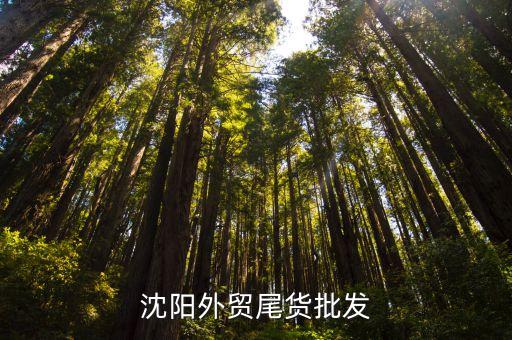 沈阳外贸尾货批发