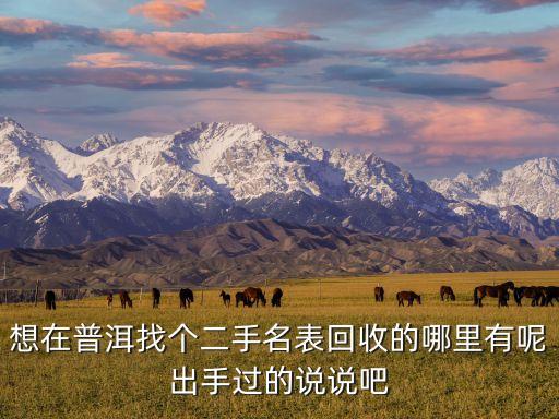 想在普洱找个二手名表回收的哪里有呢出手过的说说吧