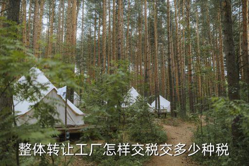 整体转让工厂怎样交税交多少种税