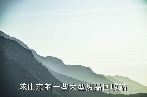 求山东的一些大型废品回收站