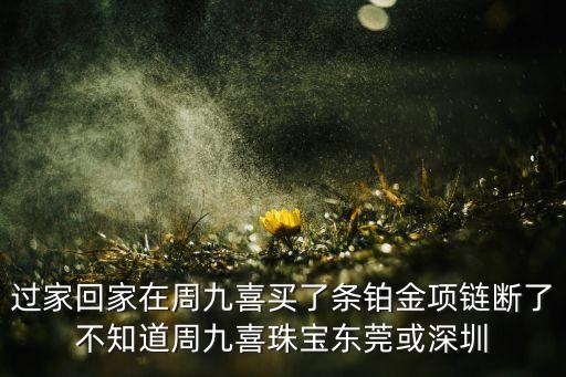 过家回家在周九喜买了条铂金项链断了不知道周九喜珠宝东莞或深圳