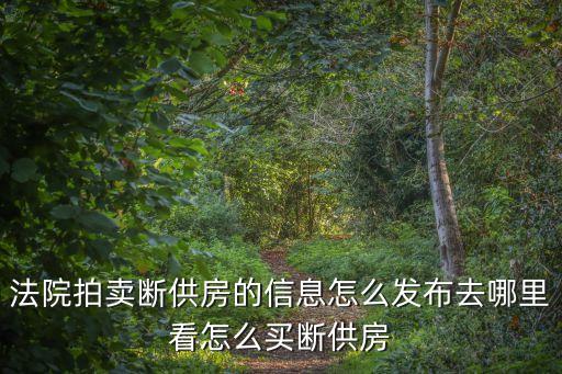 法院拍卖断供房的信息怎么发布去哪里看怎么买断供房