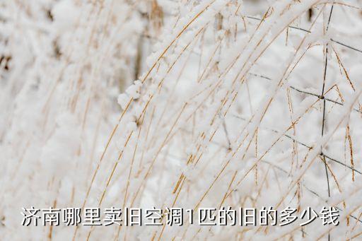 济南哪里卖旧空调1匹的旧的多少钱