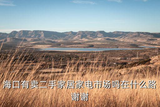 海口有卖二手家居家电市场吗在什么路谢谢