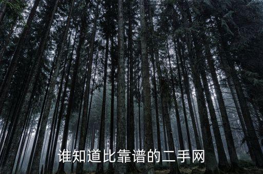 谁知道比靠谱的二手网