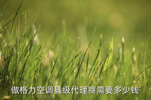 做格力空调县级代理商需要多少钱