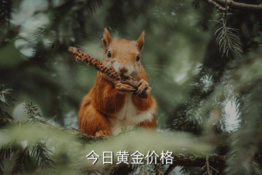 黄金价格今日，今日黄金价格