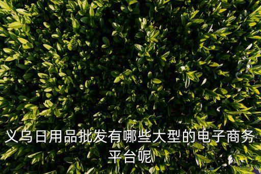 义乌日用品批发有哪些大型的电子商务平台呢