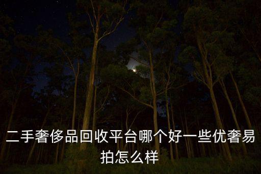 二手奢侈品回收平台哪个好一些优奢易拍怎么样