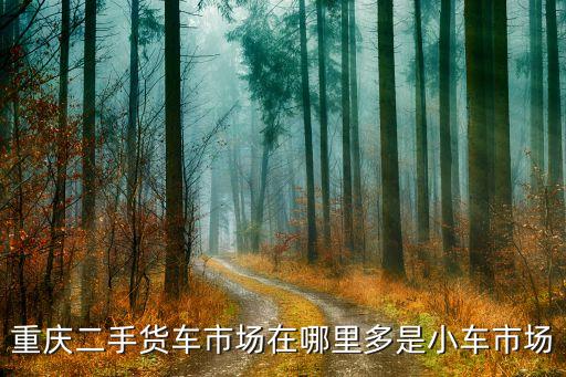 重庆二手货车市场在哪里多是小车市场