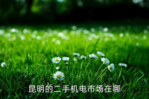 昆明的二手机电市场在哪