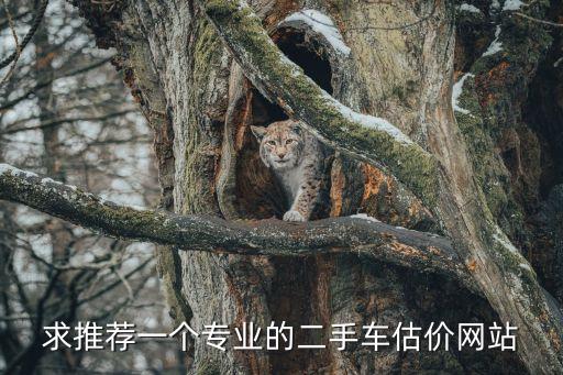 求推荐一个专业的二手车估价网站