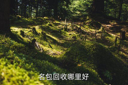 名包回收哪里好