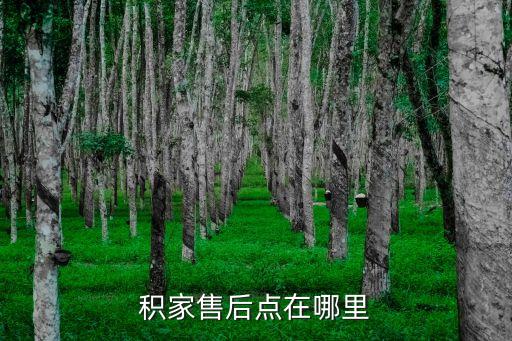 积家售后点在哪里