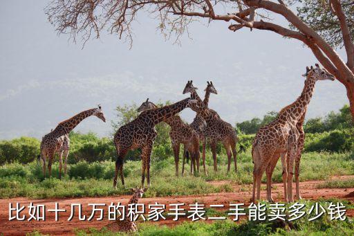 比如十几万的积家手表二手能卖多少钱