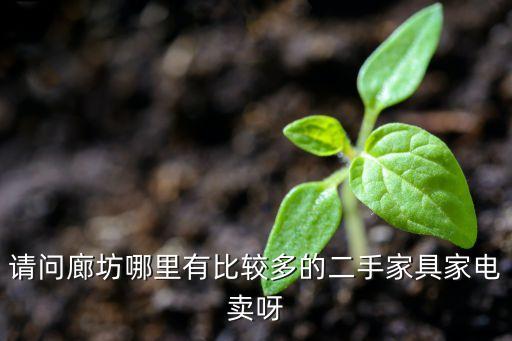请问廊坊哪里有比较多的二手家具家电卖呀