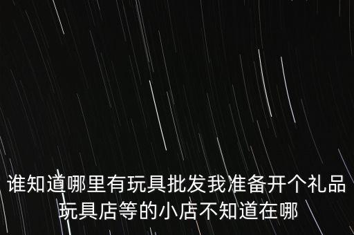 谁知道哪里有玩具批发我准备开个礼品 玩具店等的小店不知道在哪