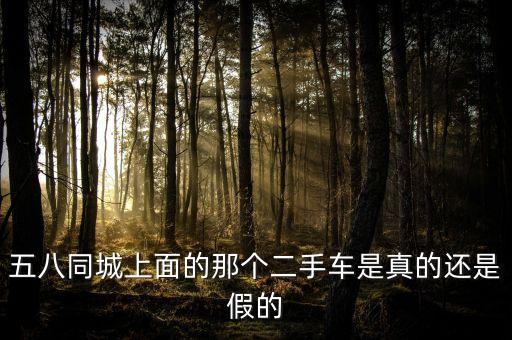 五八同城卖二手车，五八同城上面的那个二手车是真的还是假的