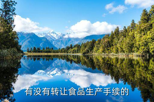 有没有转让食品生产手续的