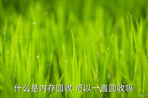什么是内存回收 可以一直回收吗