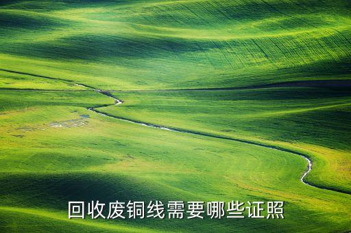 回收废铜线需要哪些证照