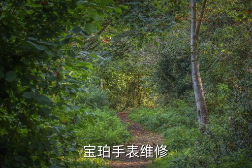 宝珀手表维修